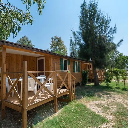 Campingplads Camping Les Palmiers 4*