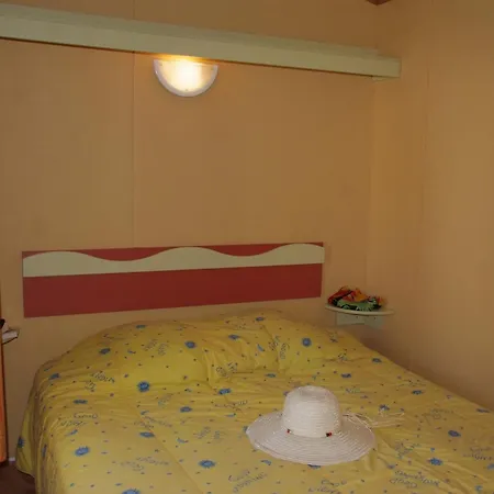 Campingplads Camping Les Palmiers 4*