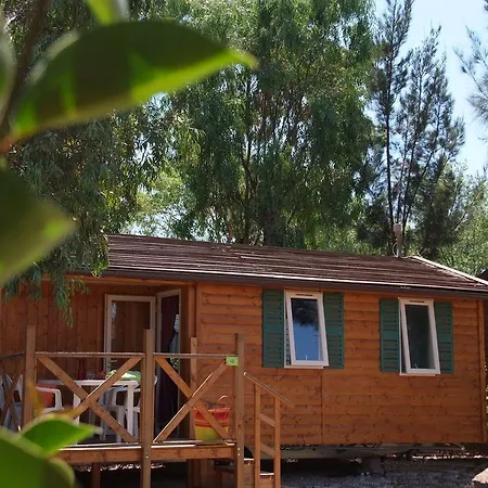 Camping Les Palmiers 4* Hyères