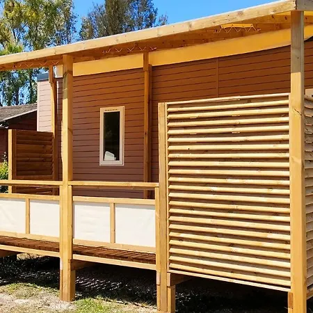 Camping Les Palmiers Hyères