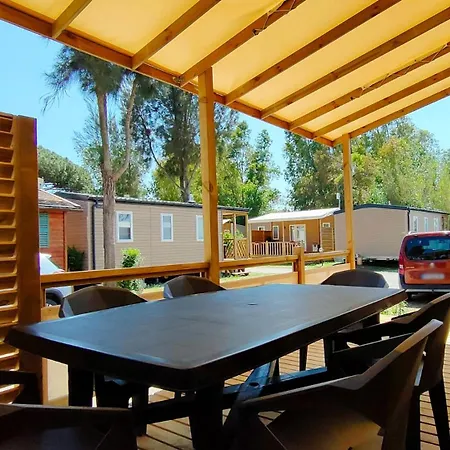 Campingplads Camping Les Palmiers 4*