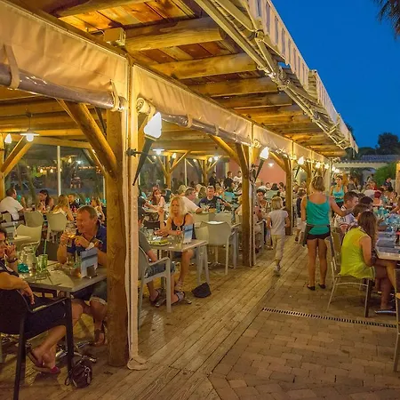 Camping Les Palmiers Hyères